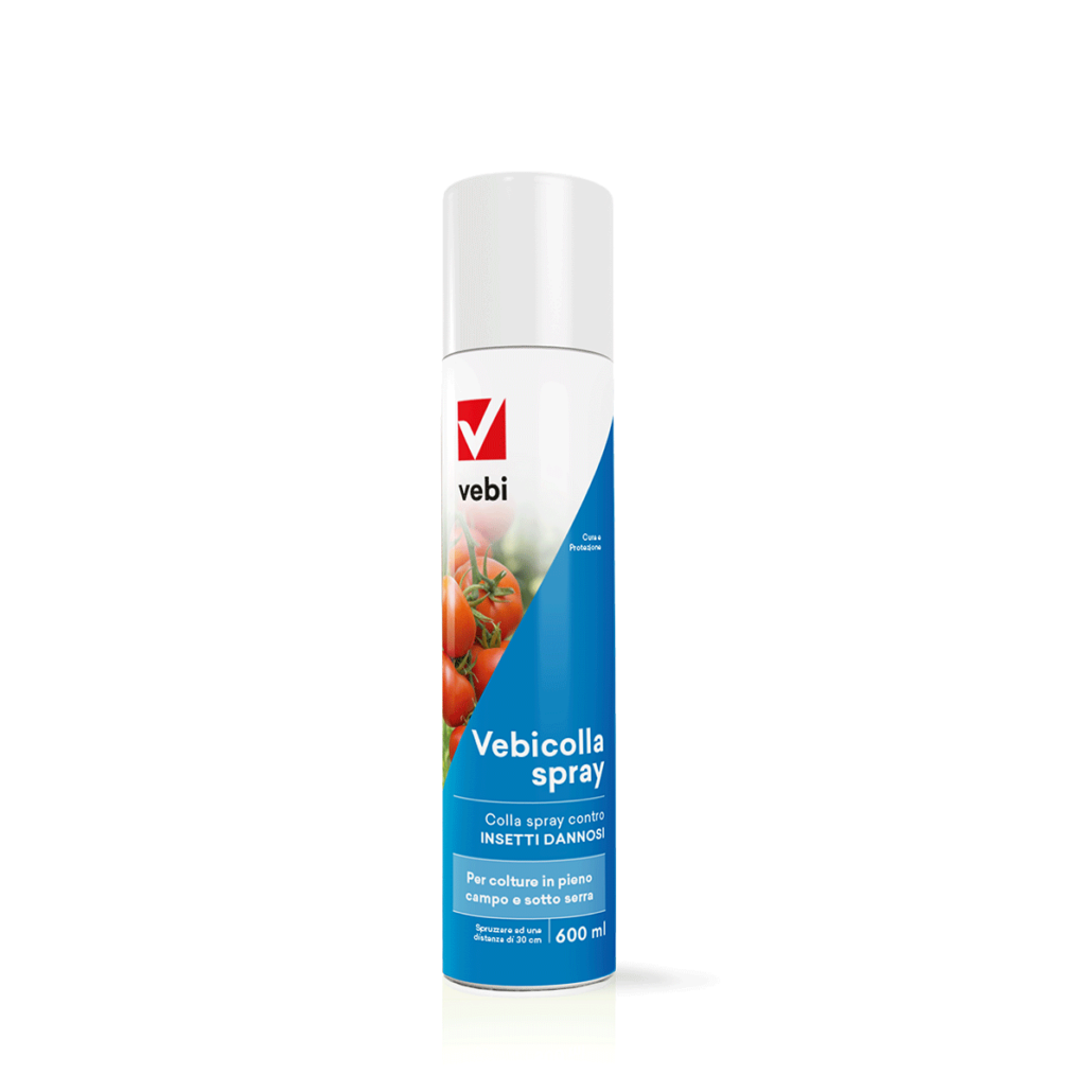 Bombola spray di Vebicolla Spray