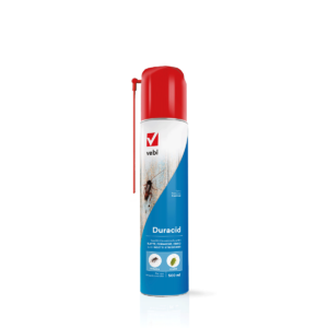 Bombola di insetticida aerosol contro formiche e cimici