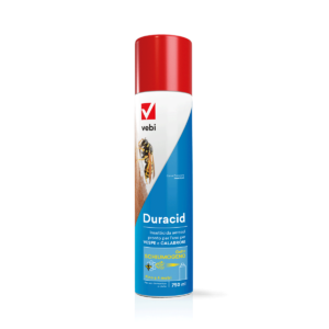 Bombola di insetticida aerosol pronto all'uso per vespe e calabroni