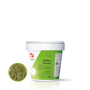 Secchio di concime contro la clorosi ferrica