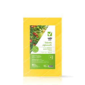 Supporti collati per le mosche e gli altri insetti