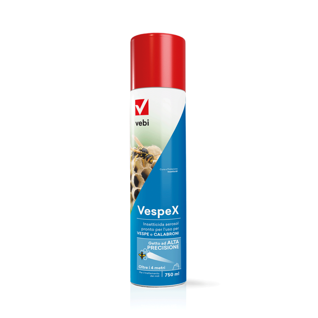 Bombola aerosol di insetticida per combattere vespe e calabroni
