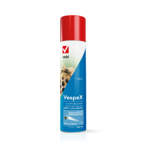 Bombola aerosol di insetticida per combattere vespe e calabroni
