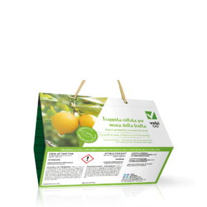 Trappola collata alimentare contro la mosca mediterranea della frutta