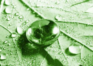 Decreto non inclusione bifentrina