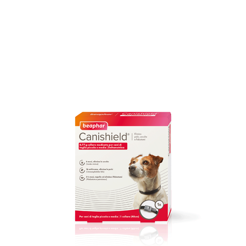 Confezione di collarino antiparassitario per protezione dei cani