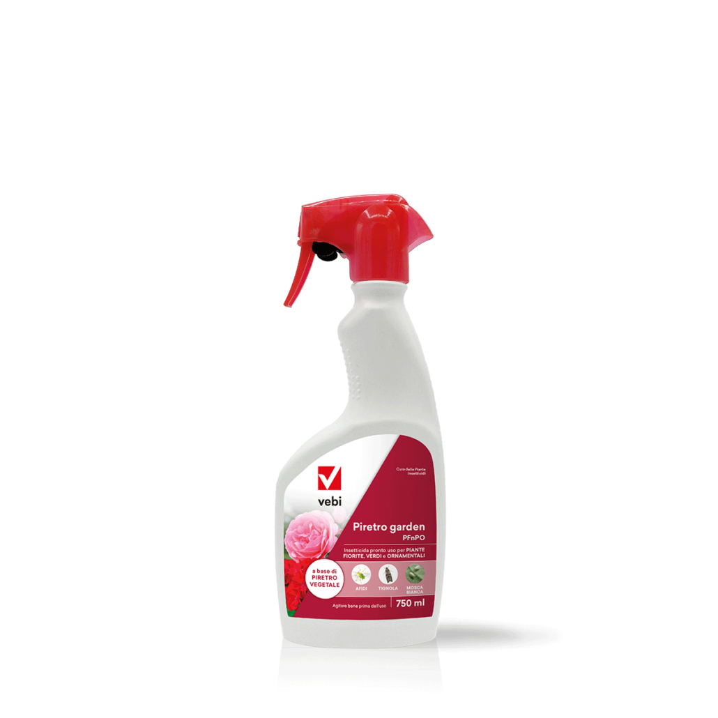 Flacone di insetticida a base di piretro contro afidi, tignola e mosca bianca